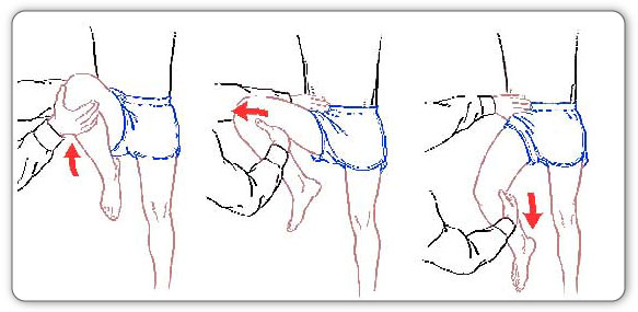 Groin series of abdominal and hip movements